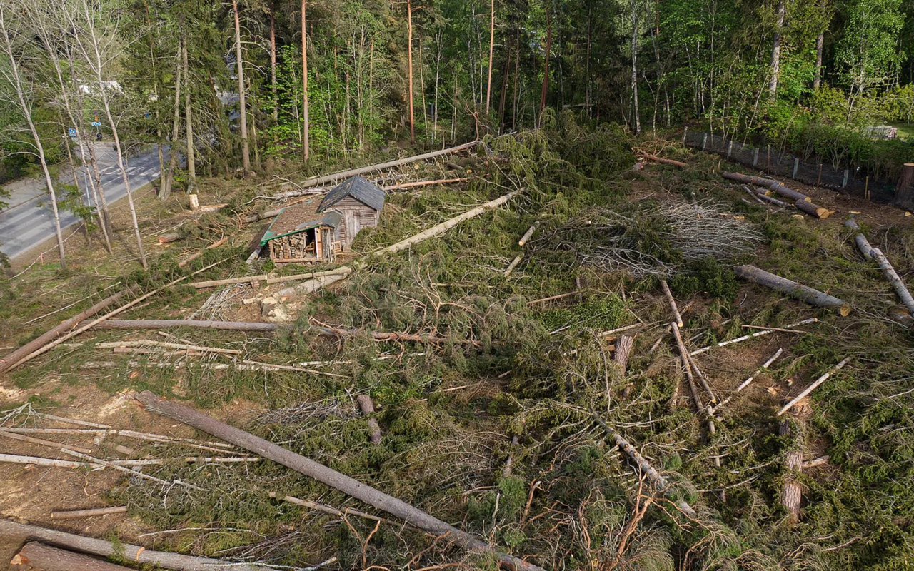 https://bukowskismaklarbyra.se